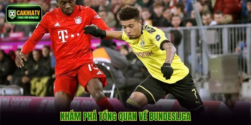 Khám phá tổng quan về Bundesliga