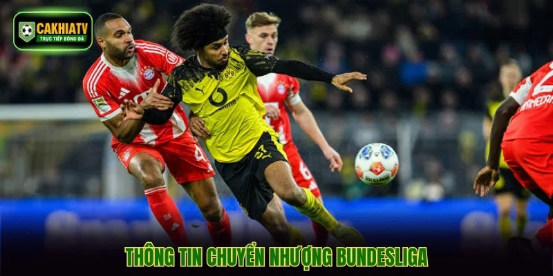 Thông tin chuyển nhượng Bundesliga