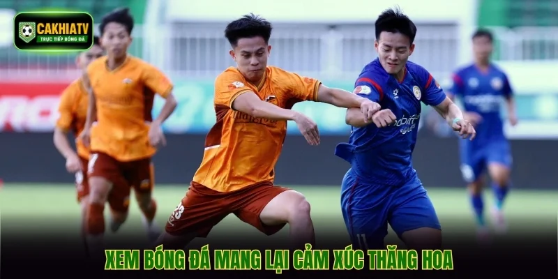 Xem bóng đá mang lại cảm xúc thăng hoa